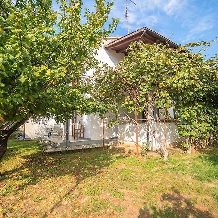 Villa Aleksandar Poreč Exterior foto